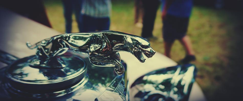 Antique Rally Of Vintage Cars