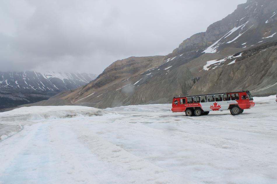 Mountain Highland bus