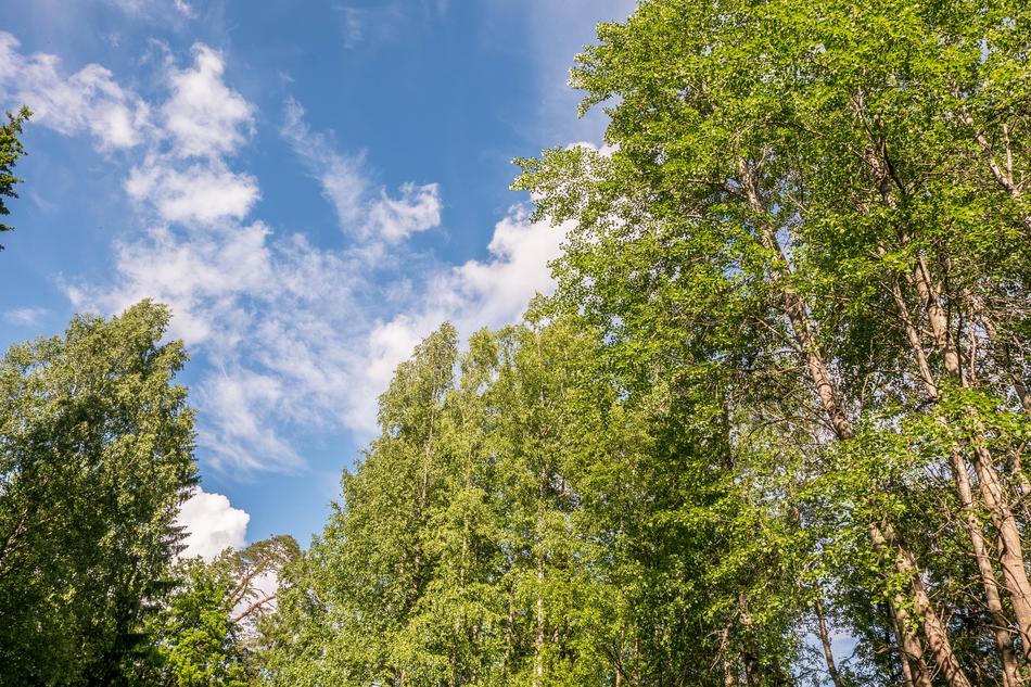 Landscape Sky Beauty