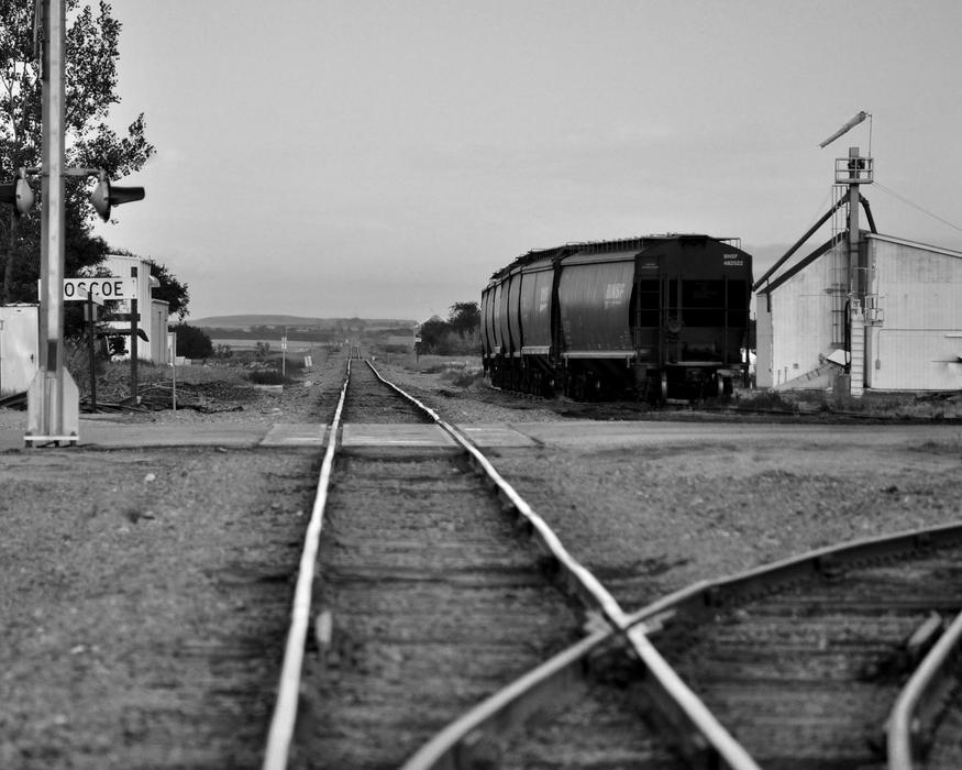Train Countryside Landscape
