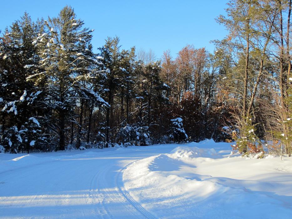 Snowy Road Lane in forest