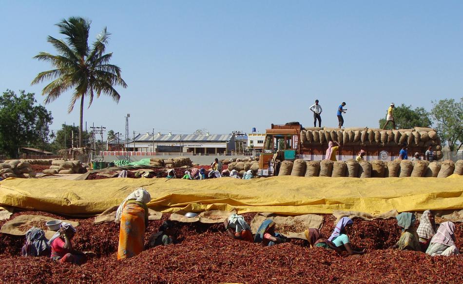 Red Chilli Wholesale Market