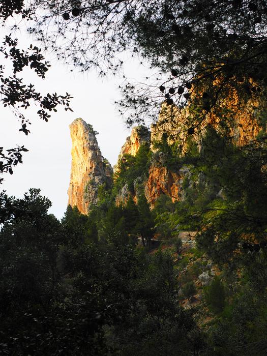 Rock Cliff Road Serpentine