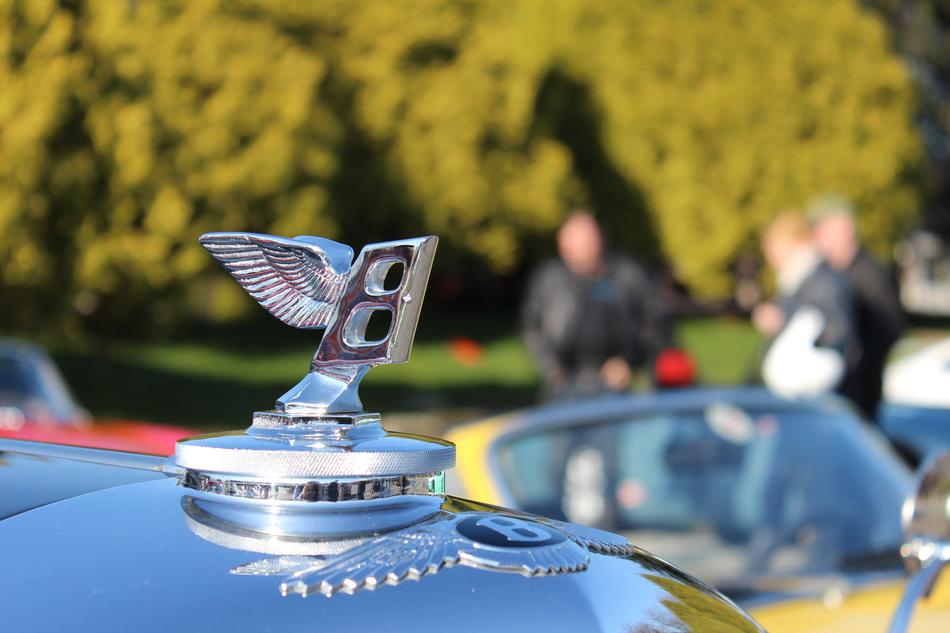 Bently Hood Ornament macro blur