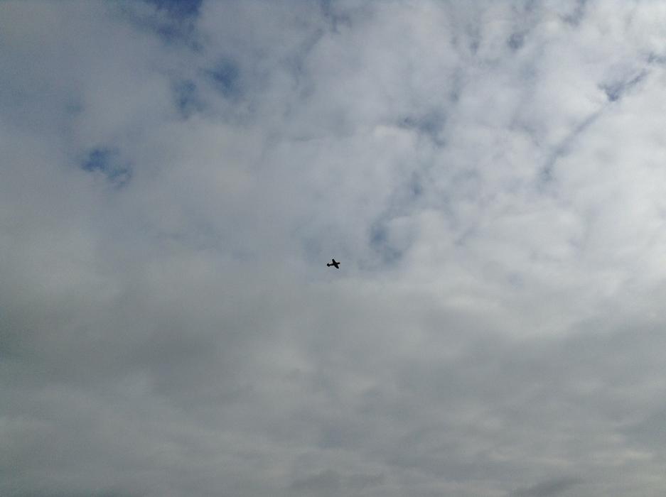 Plane Aeroplane Flying