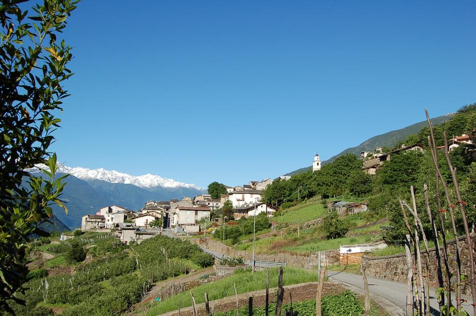 Tirano Italy Landscape