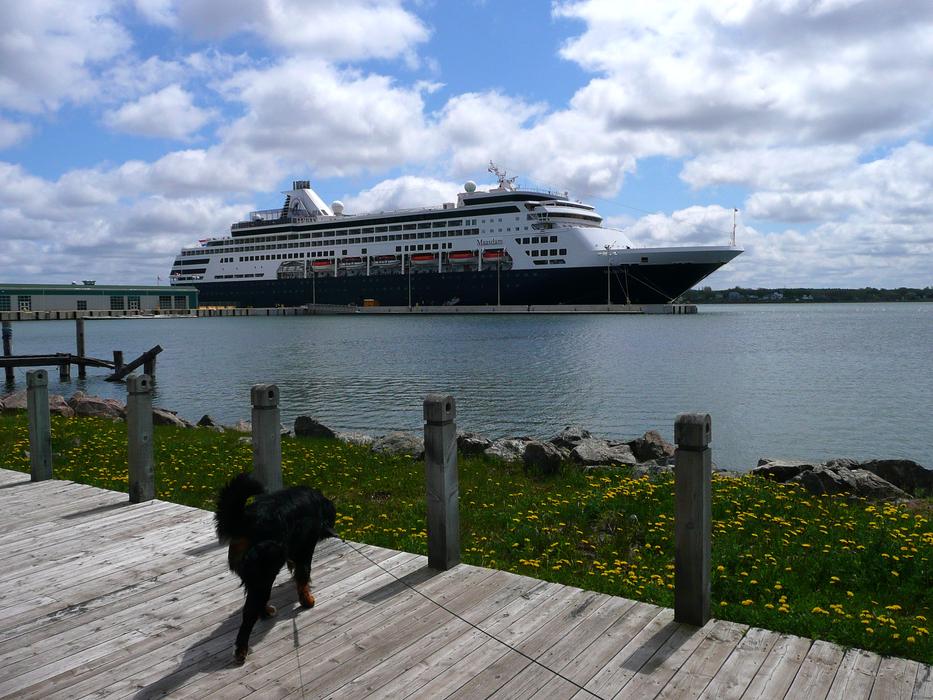 Cruiser Ship Water