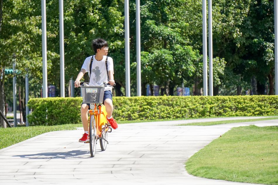 Bike Biking Wonder