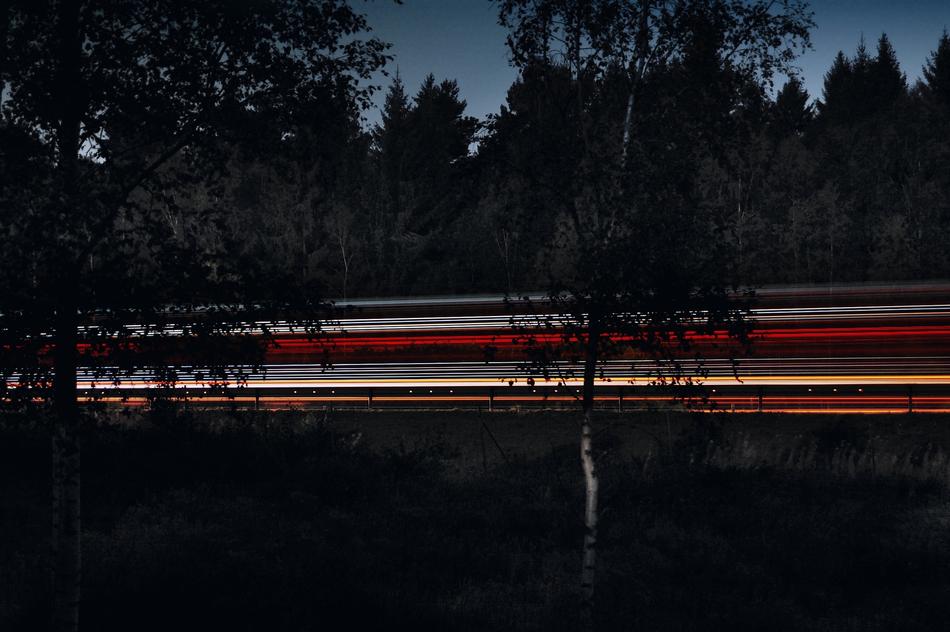 Trees Road Lights