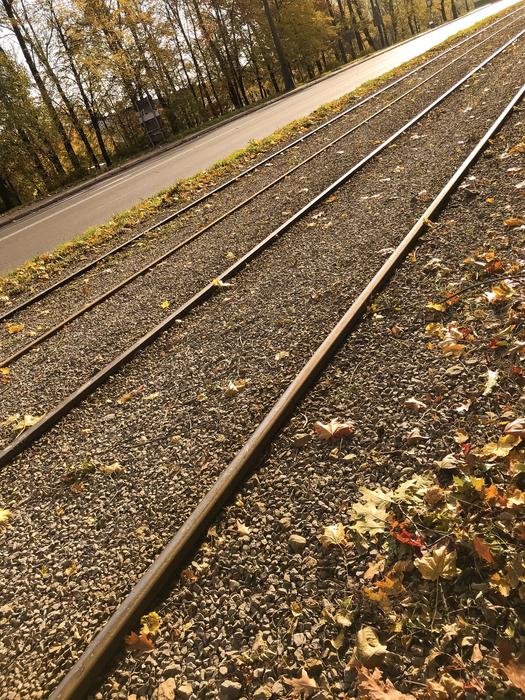 Czestochowa Poland Autumn