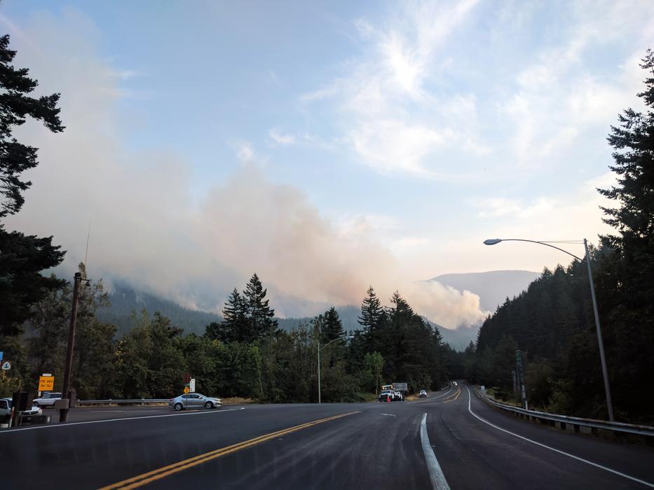Eagle Creek Fire Forest