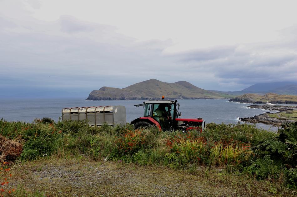 Tractor Farmer Agriculture