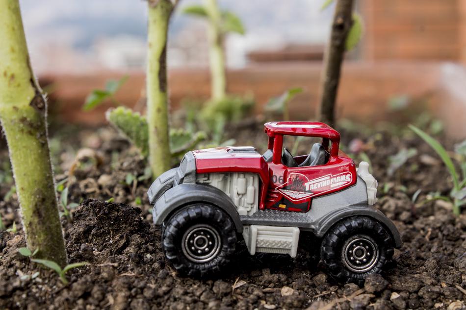 a little toy in the ground