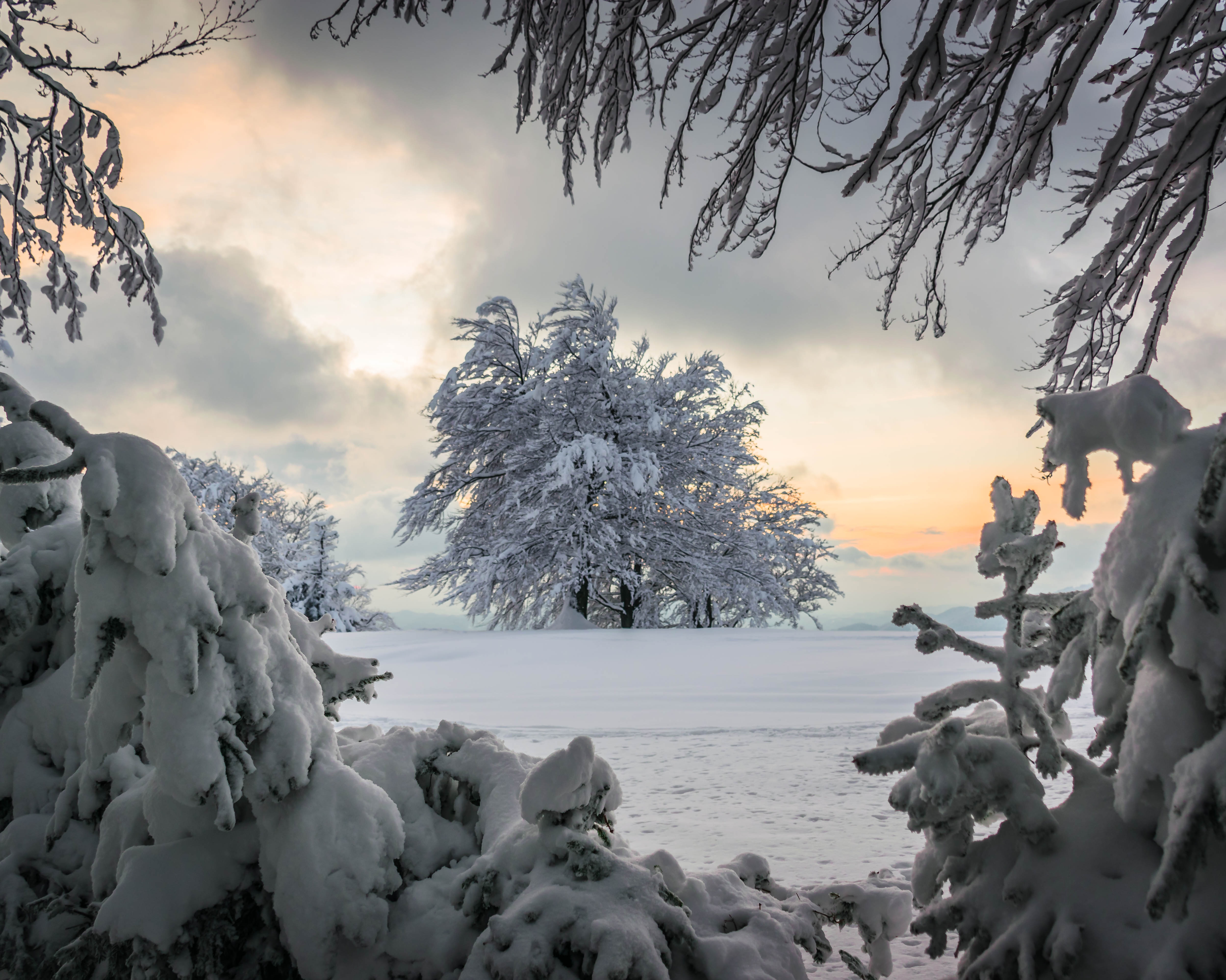 Ravishing Sunset Pastel snow free image download