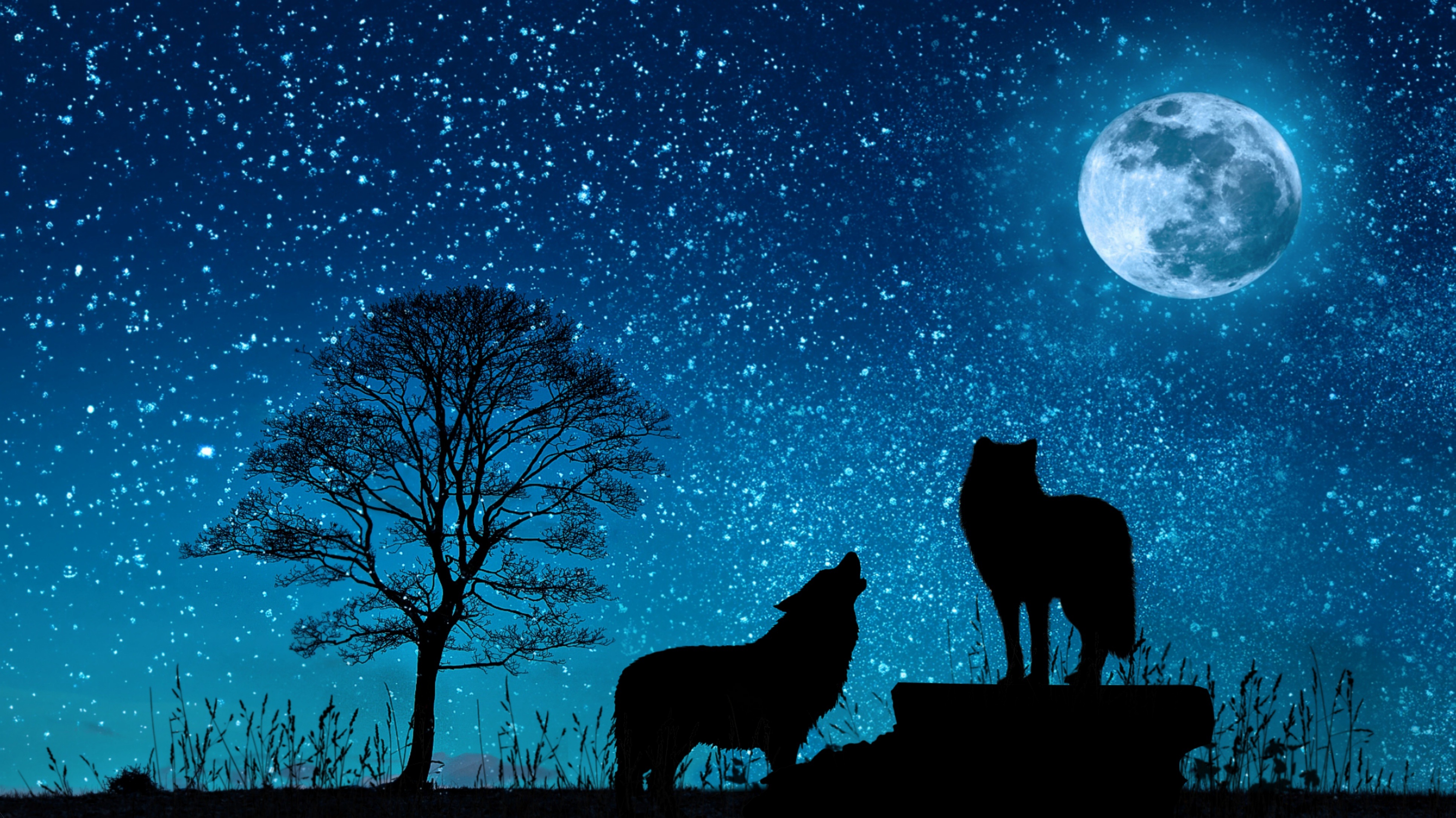 Волк деревья Луна