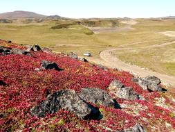 Mountains Late Autumn Bright