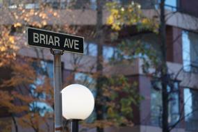 City Road Signs The Leaves