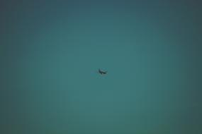 Airplane Travel Adventure