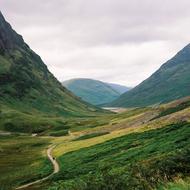 Mountain Highland Trees