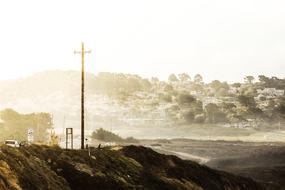 Mountain Highland Tree