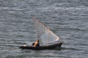 Water Watercraft Sea