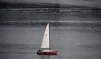 sailing Boat leisure