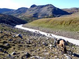 Mountain Plateau Tundra Volcano