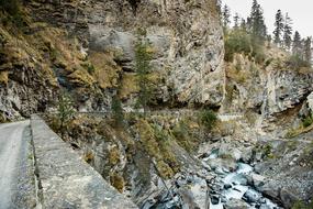 large rocks with trees