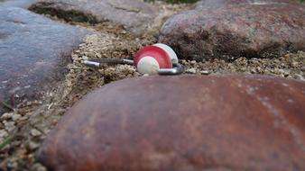 Road Cobblestones Paving Stone