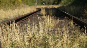 overgrown railroad