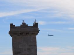 Fly Plane Sky