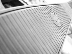 badge of iron on the car