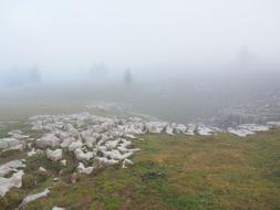 Creux Du Van Swiss Jura Noiraigue