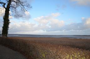 Autumn Beautiful View