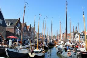 fish boats in the harbor