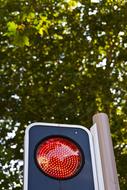Red Light Traffic Signal