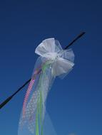 Auto Grind Grinding Car