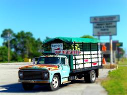 Vans Truck Tiltshift