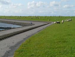 Dike Road North Sea