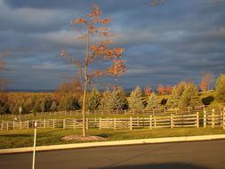 Fall Road Street