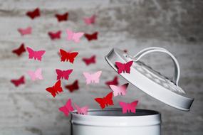 amazing Butterfly Paper Flying