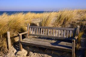 Wooden Bench on Bank