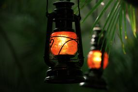 Close-up of the beautiful, black lanterns with the orange and yellow light, among the colorful plants