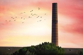 tower and flock of birds on the pink sky