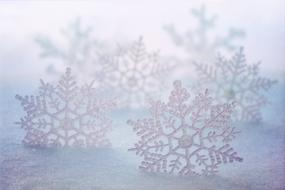 magnificent Snowflakes in Winter