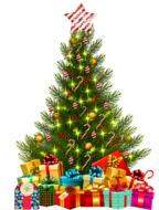 christmas tree with color box