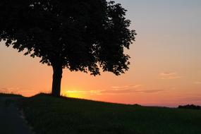 Silhouette of the tree on the beautiful landscape, at colorful sunset in the sky with clouds