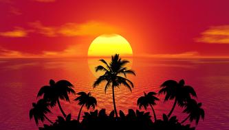 tropical summer sunset