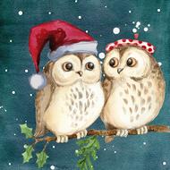 merry christmas, two cartoon owls perched branch