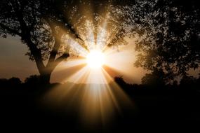 magnificent Sun Dawn